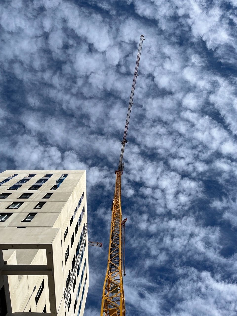 Behetik gorako argazkia. Eraikin bat ezkerreko aldean eta garabi hori bat zeru lainotsuaren pean.