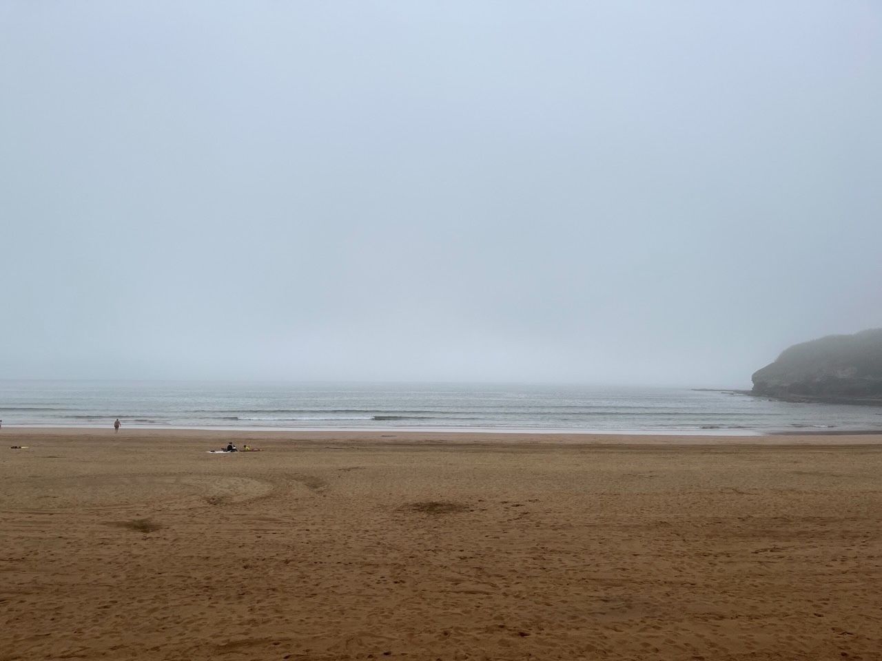 Arena hondartza (Zierbena, Bizkaia), behelaino artean.