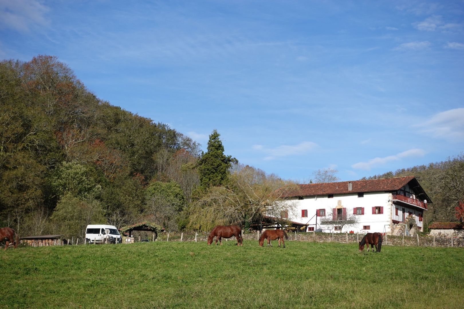 Berako Kaule auzoko Iratxekoberea baserria. Horren aurrean soro bat dago, eta bertan hainbat behor