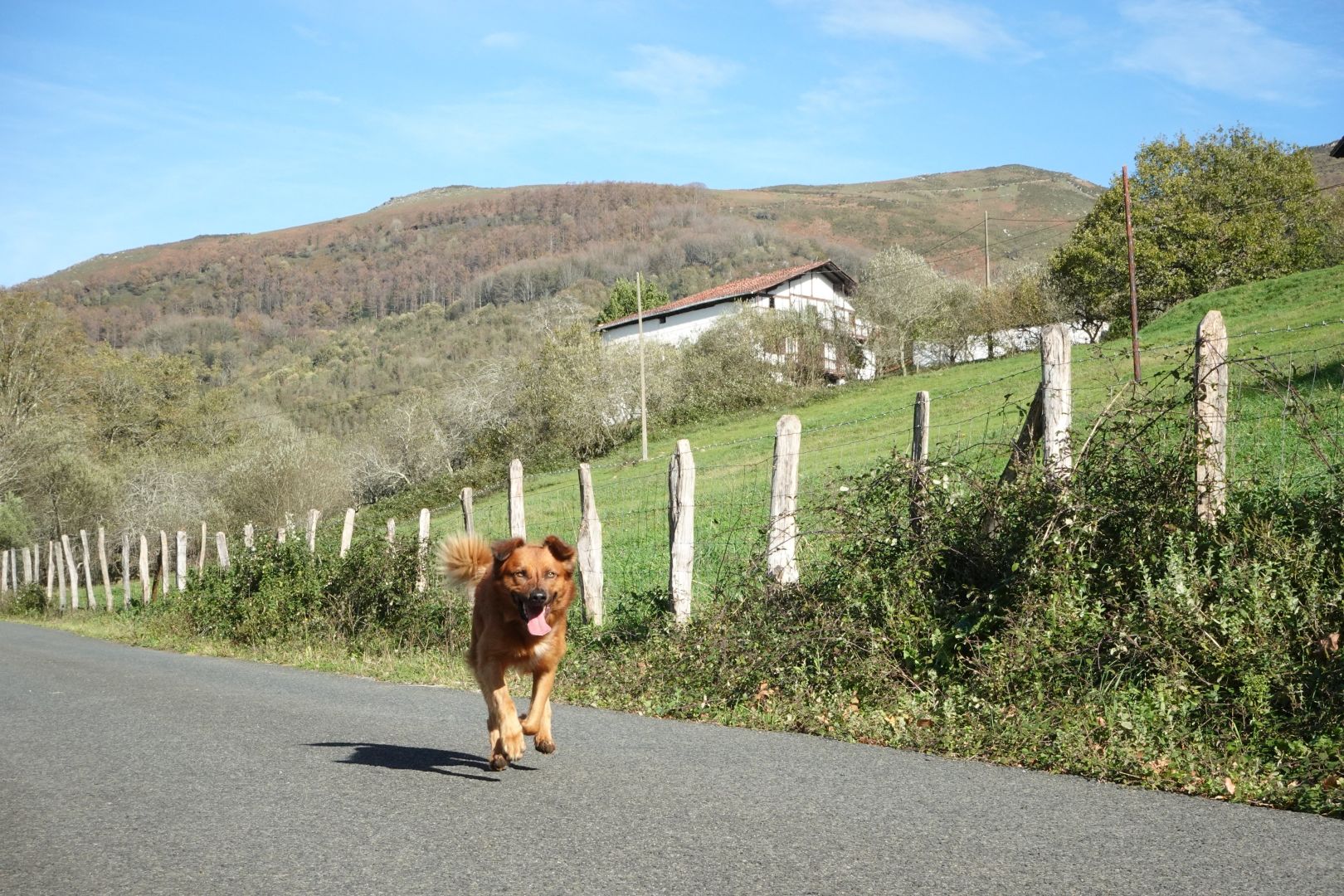 Txistu korrika kamararuntz