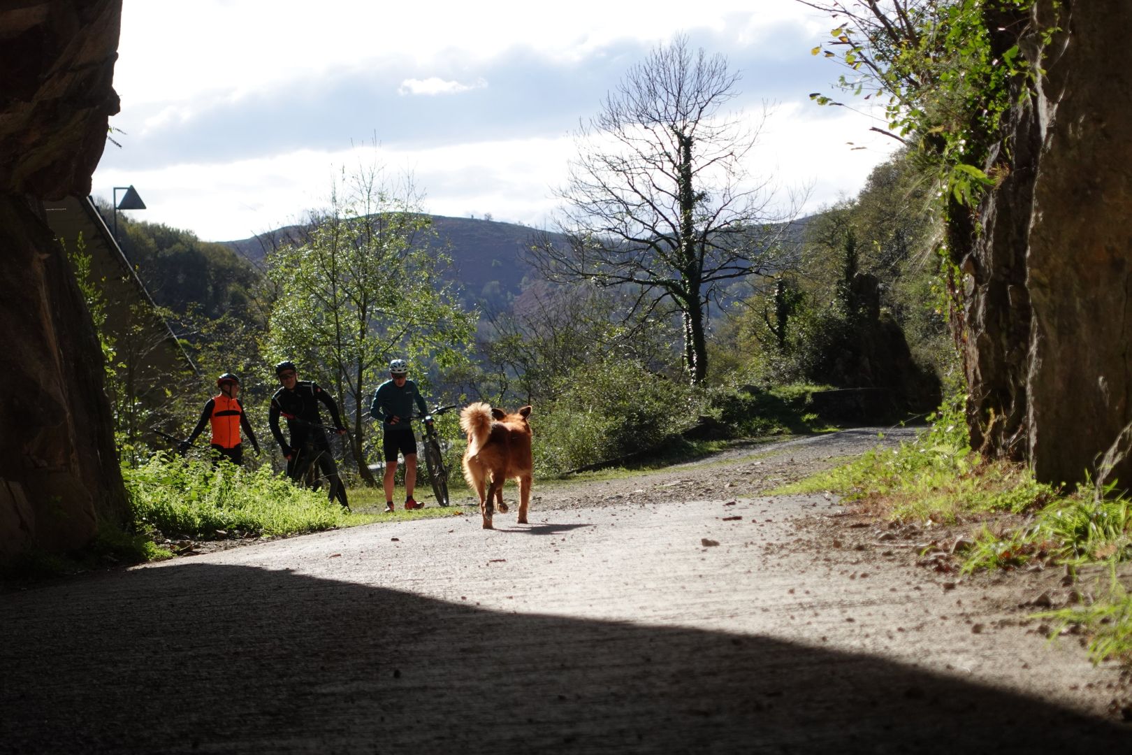 Bidasoko bide berdeko tunel baten irteera. Hainbat txirrindulari agertzen dira, baita Txistu txakurra ere.