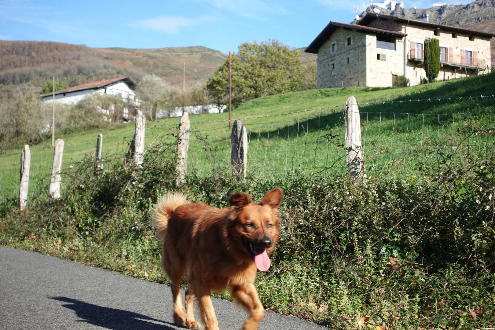 Txistu korrika kamararuntz, gertuago.